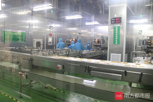 東莞“倍增計劃”申報啟動 新評價體系引領高質量發展，信息服務業務迎新機遇